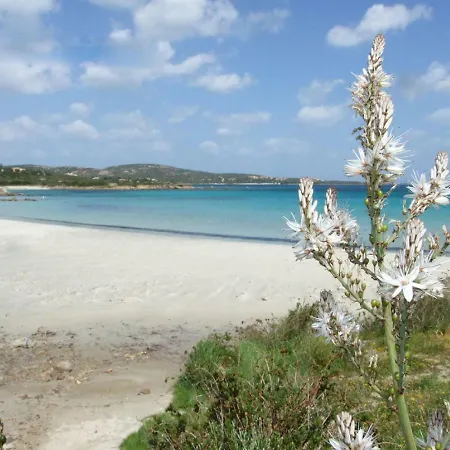 Locazione Turistica Aranzos * 골푸아랑시